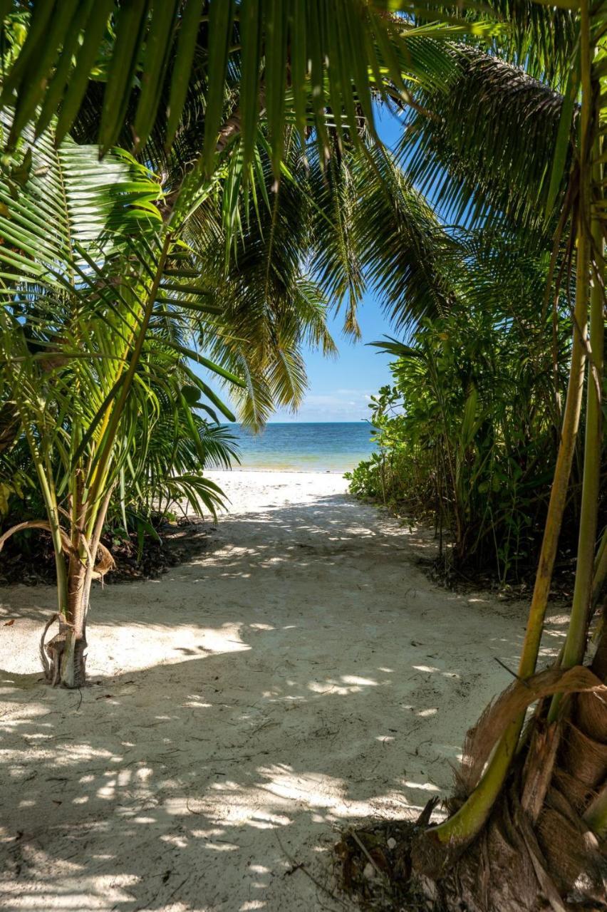 Bliss Hotel Praslin Grand Anse  Exteriér fotografie